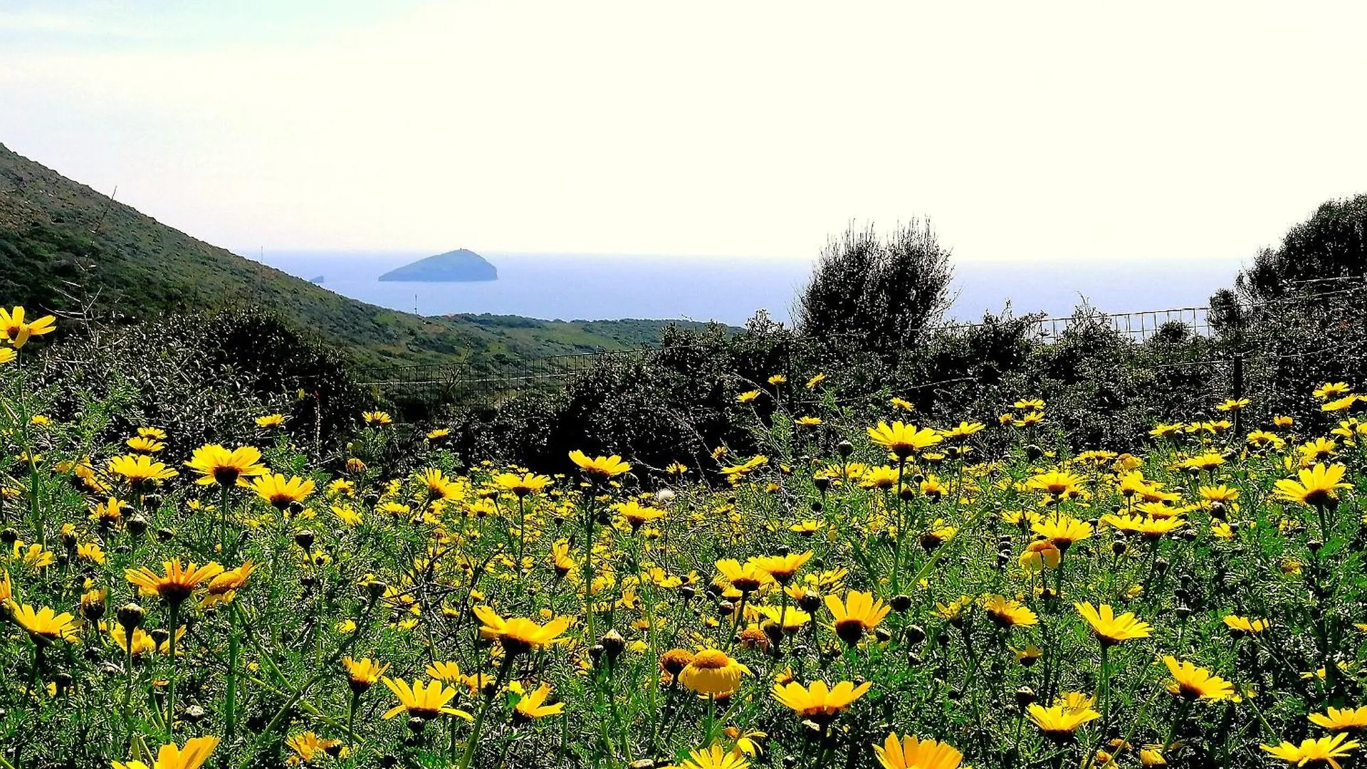 Agriturismo Glamping Erbe Matte SantʼAntìoco 0*,  Italien